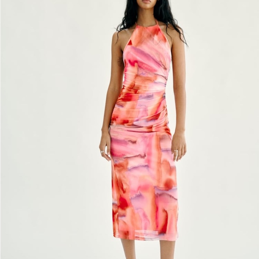 Zara Printer Tulle Midi Dress